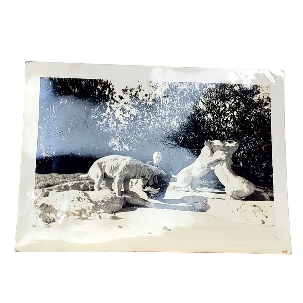 Vtg Man Posing Tiger Statue B&W Monochrome Photography 1940s Found Snapshot